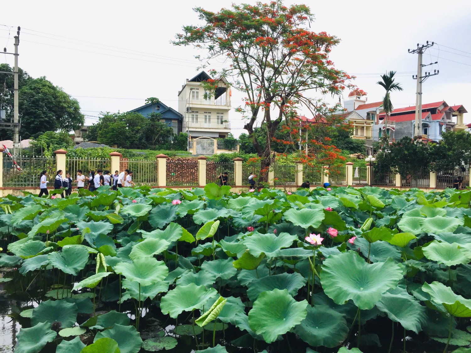 z3418071909945 d91a466de5fdbce2189744011ad360c6