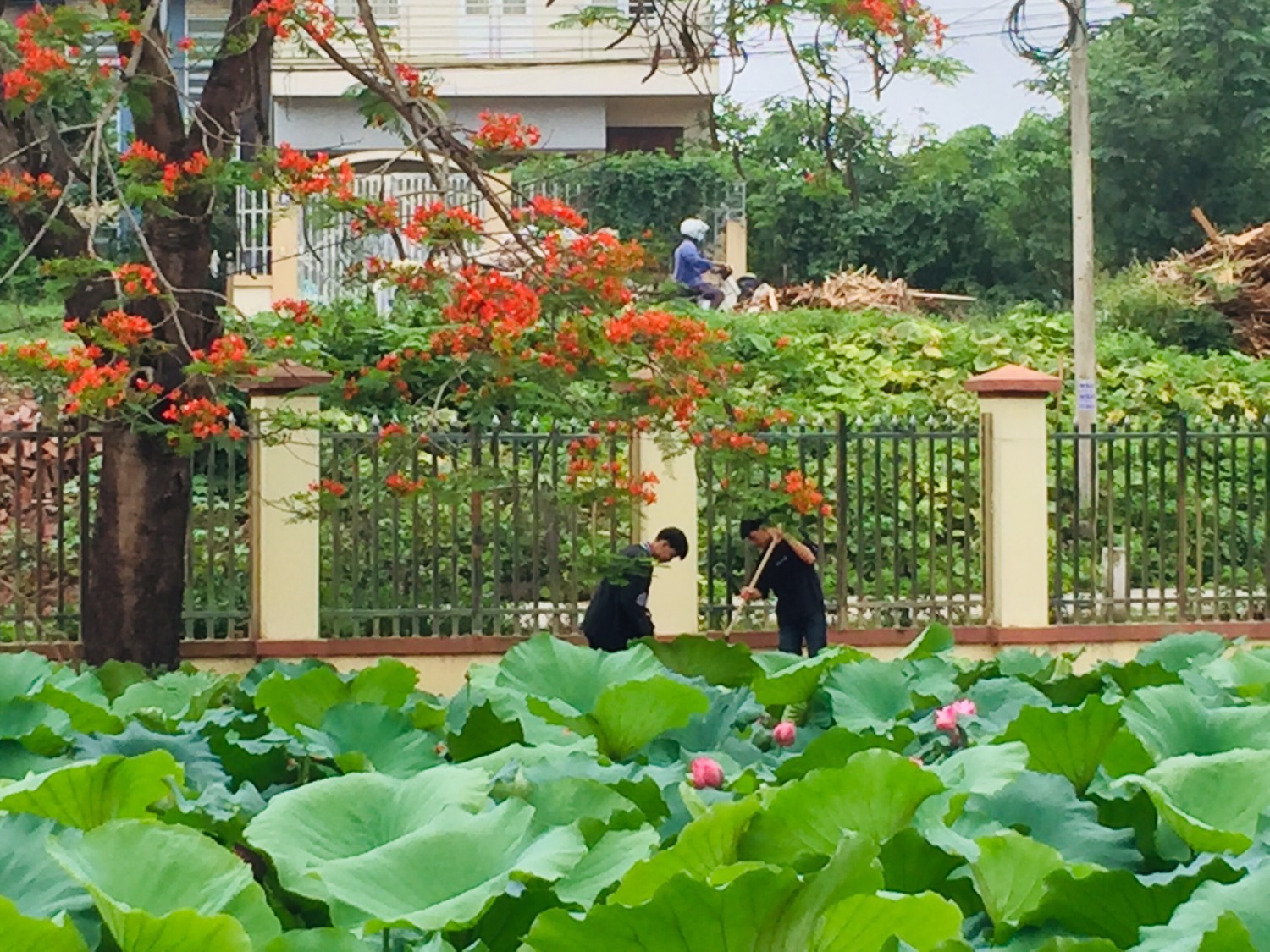 z3418071920187 f7bdab64ad6bc9d2cce349a090b50b6f