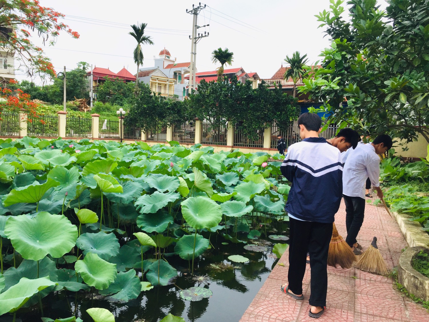 z3418071929690 8f1ea1ac173ea202b8e3355d735a2b69